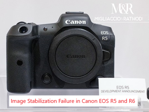 canon eos r6 video stabilization